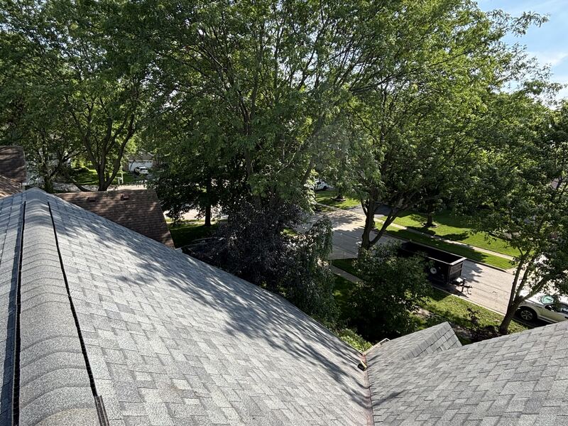 Storm-exposed shingle roof under heavy tree canopy on a Northern Illinois property
